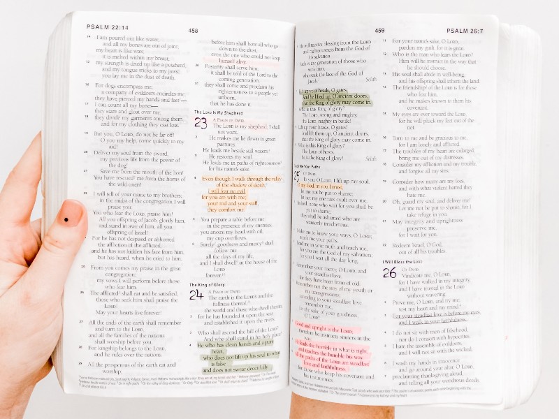 Open Bible with highlighted passages